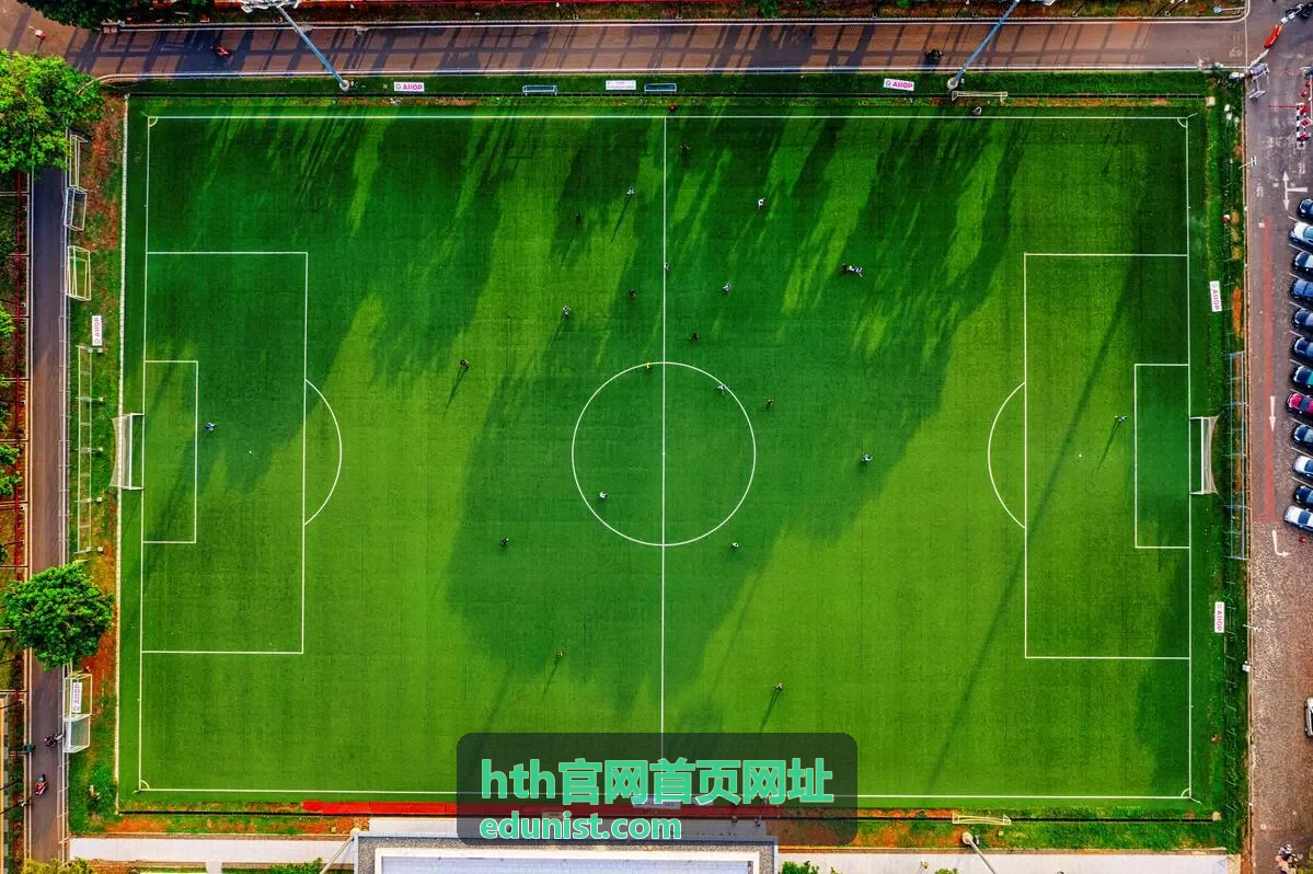 手机端hth官网首页网址入口对比